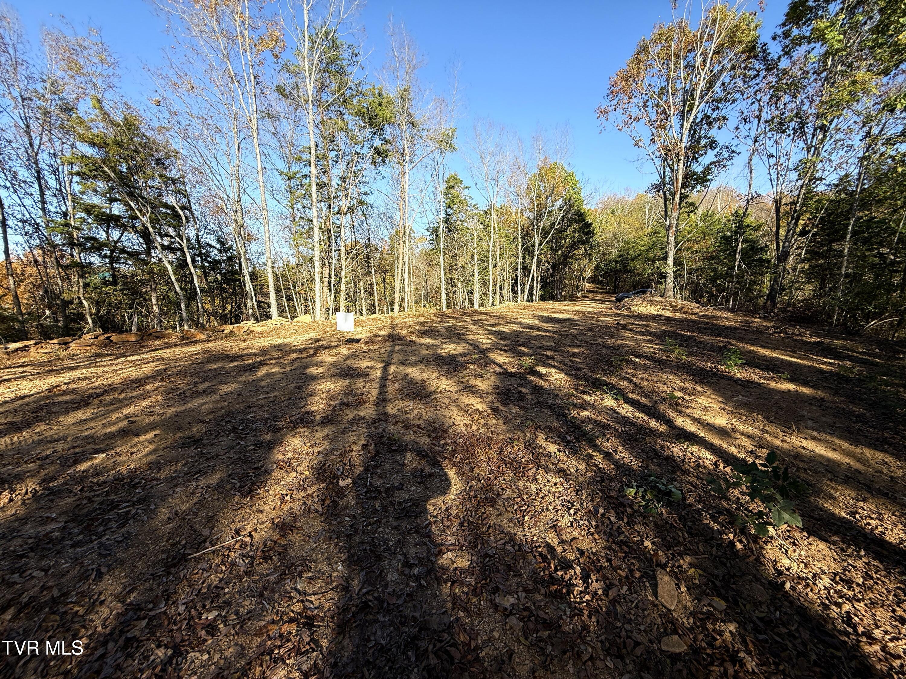 Tract 4 Topaz Way, Parrottsville, Tennessee image 8