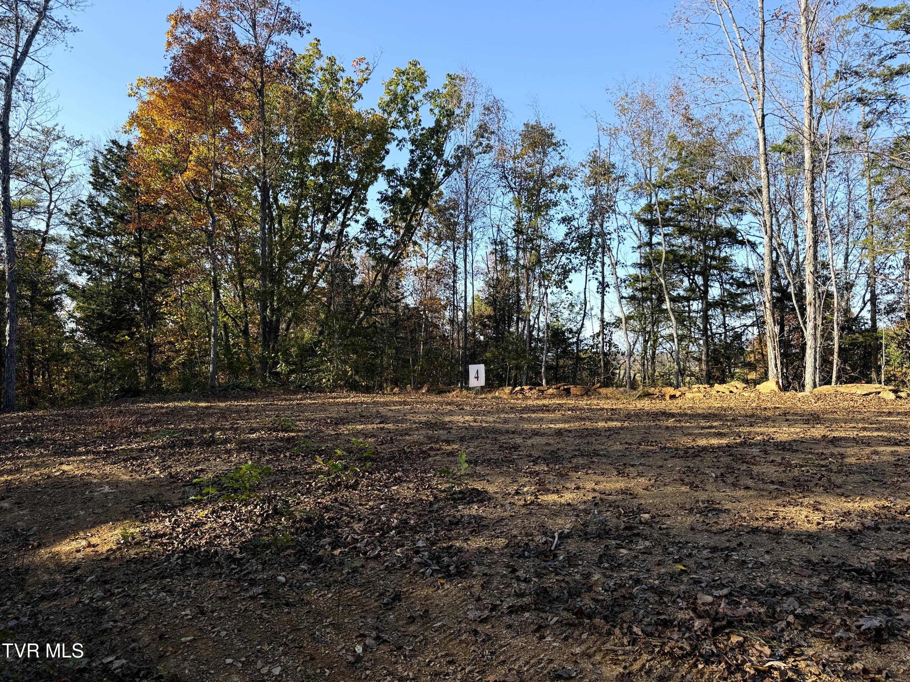 Tract 4 Topaz Way, Parrottsville, Tennessee image 5