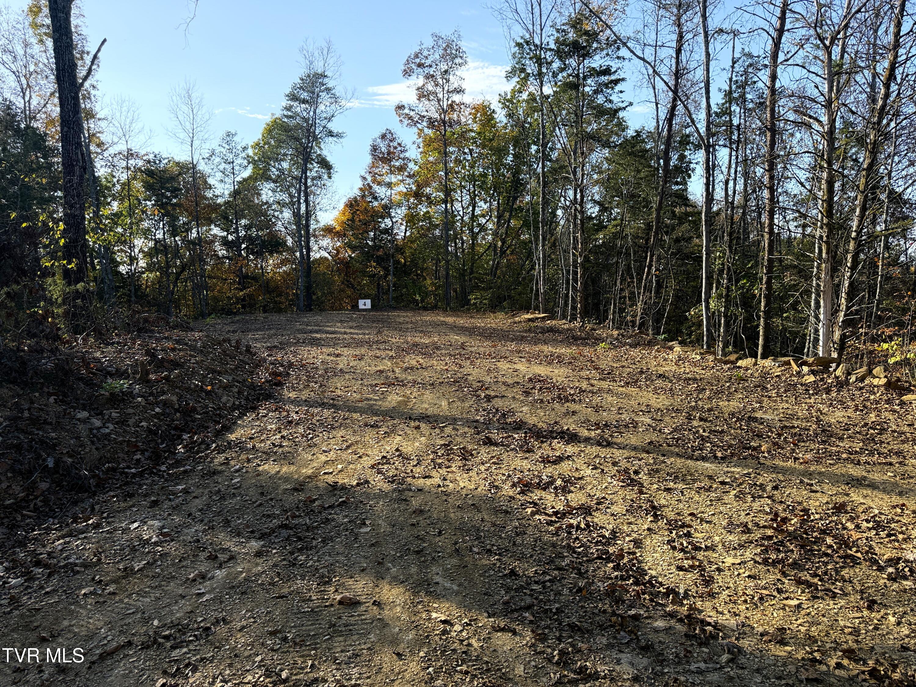 Tract 4 Topaz Way, Parrottsville, Tennessee image 4