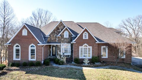 Photo of 20 Loch Lomond Lane, Chuckey, TN 37641 (MLS # 9990684)