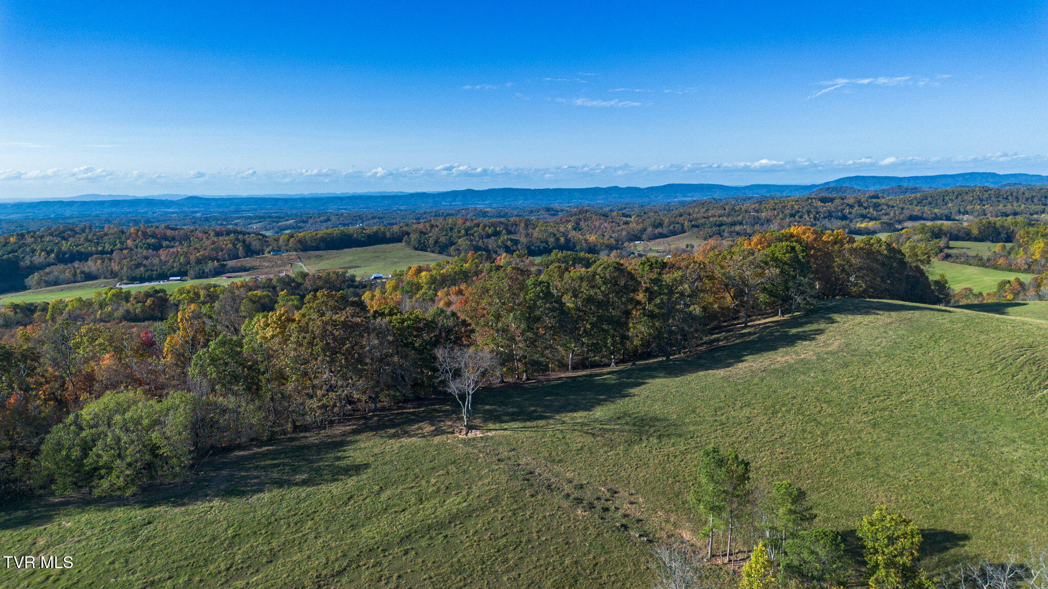 490 Miller Road, Afton, Tennessee image 39