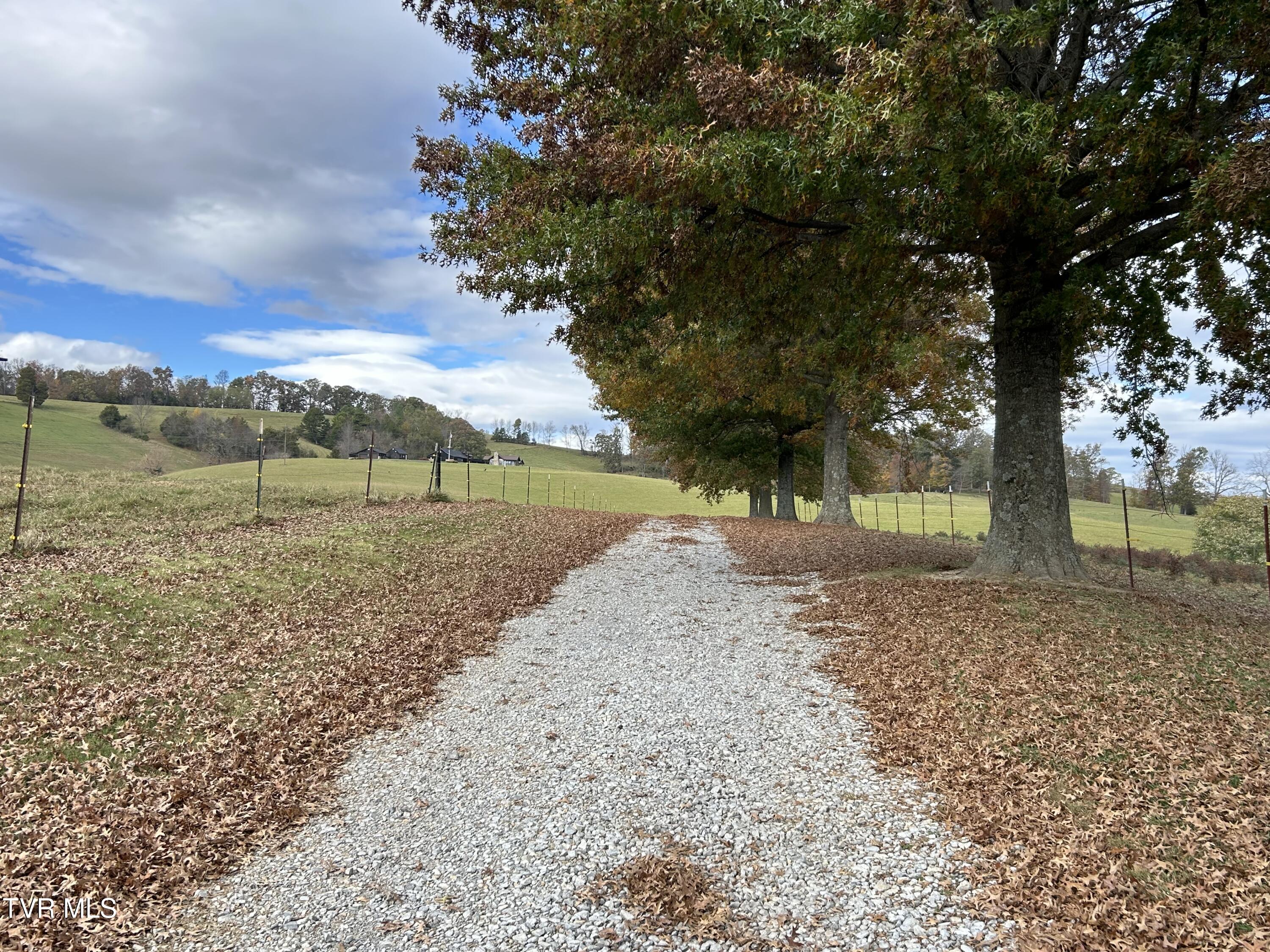 490 Miller Road, Afton, Tennessee image 3