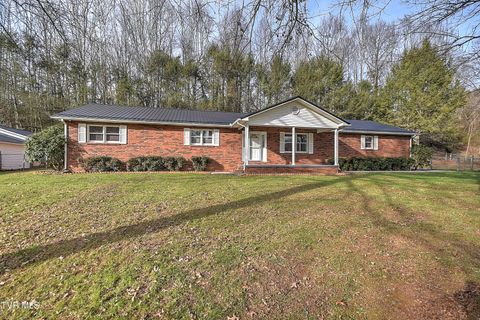 Photo of 1363 Highway 91, Elizabethton, TN 37643 (MLS # 9988893)