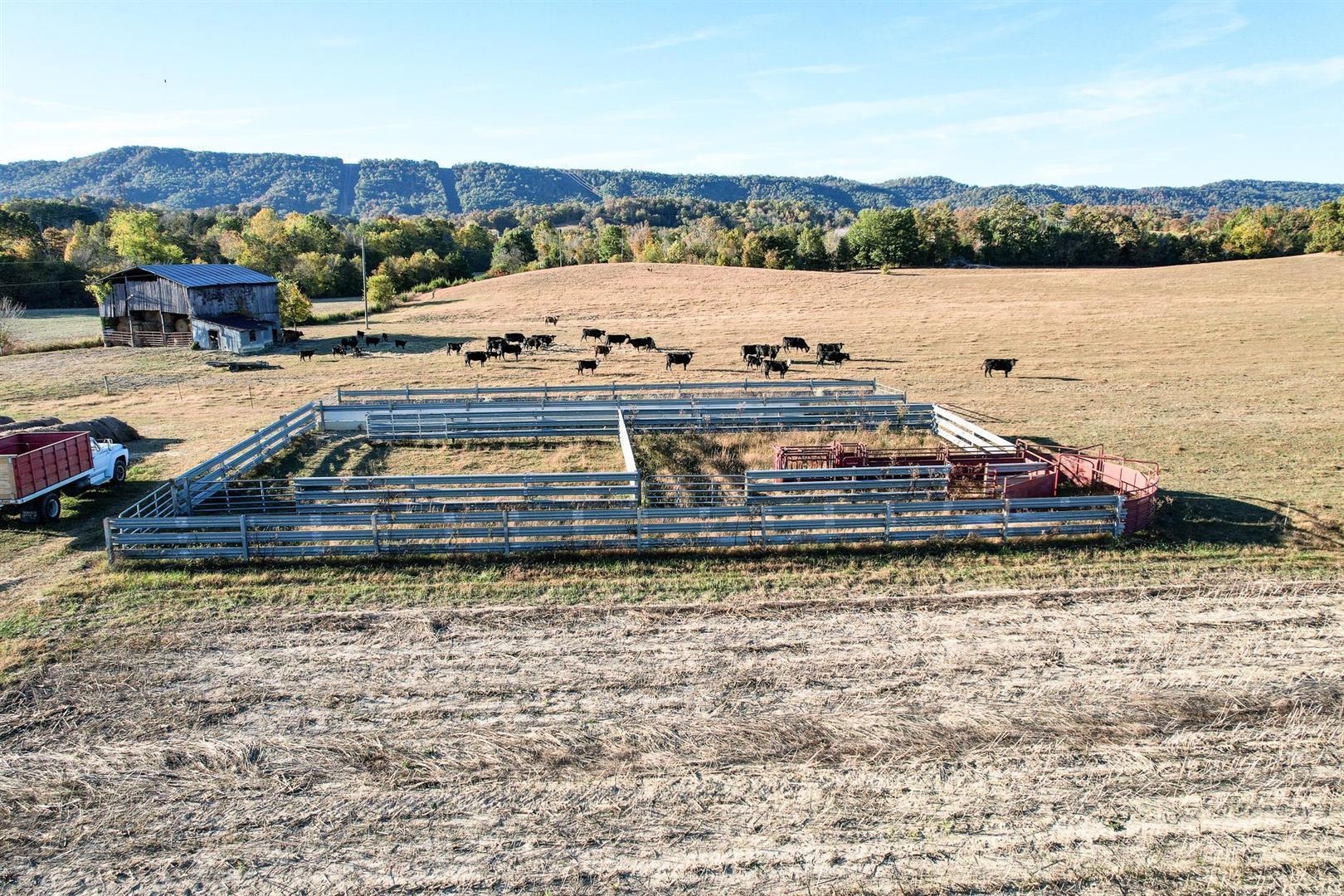 72.65 Ac Horton Highway, Greeneville, Tennessee image 28