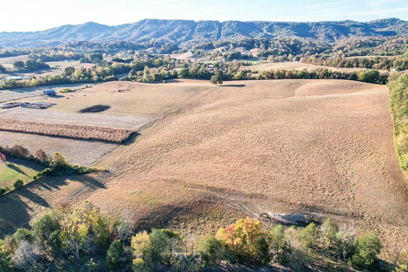 72.65 Ac Horton Highway, Greeneville, Tennessee image 9