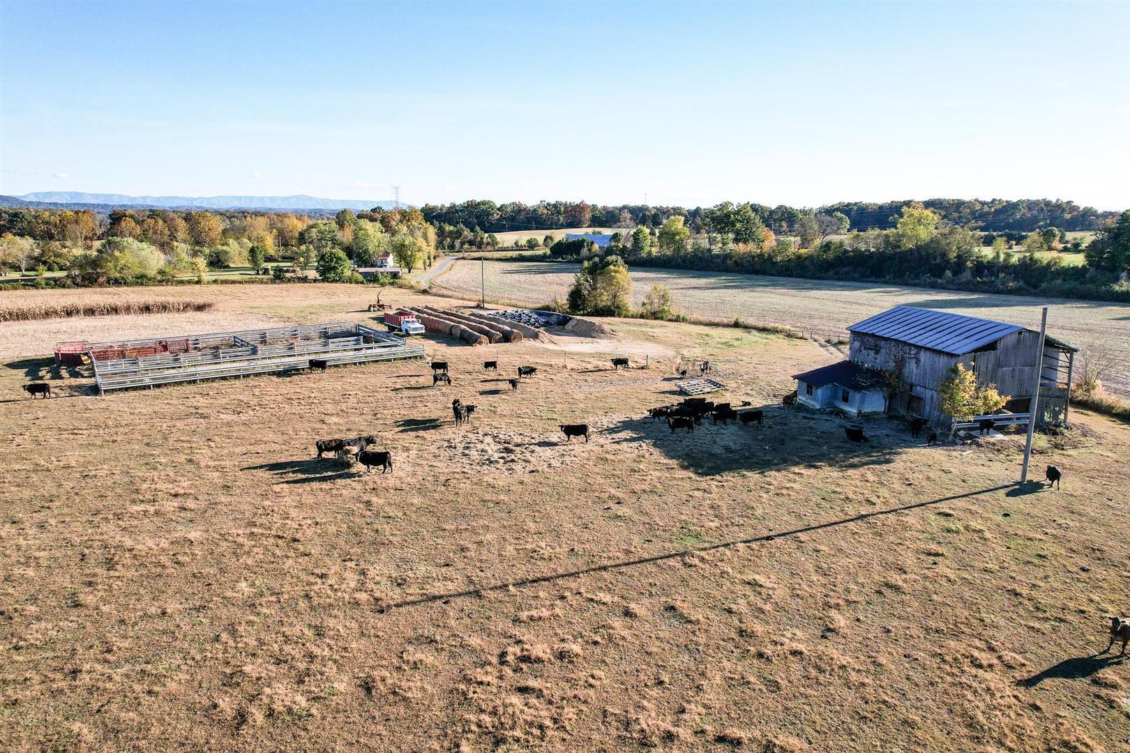 72.65 Ac Horton Highway, Greeneville, Tennessee image 17