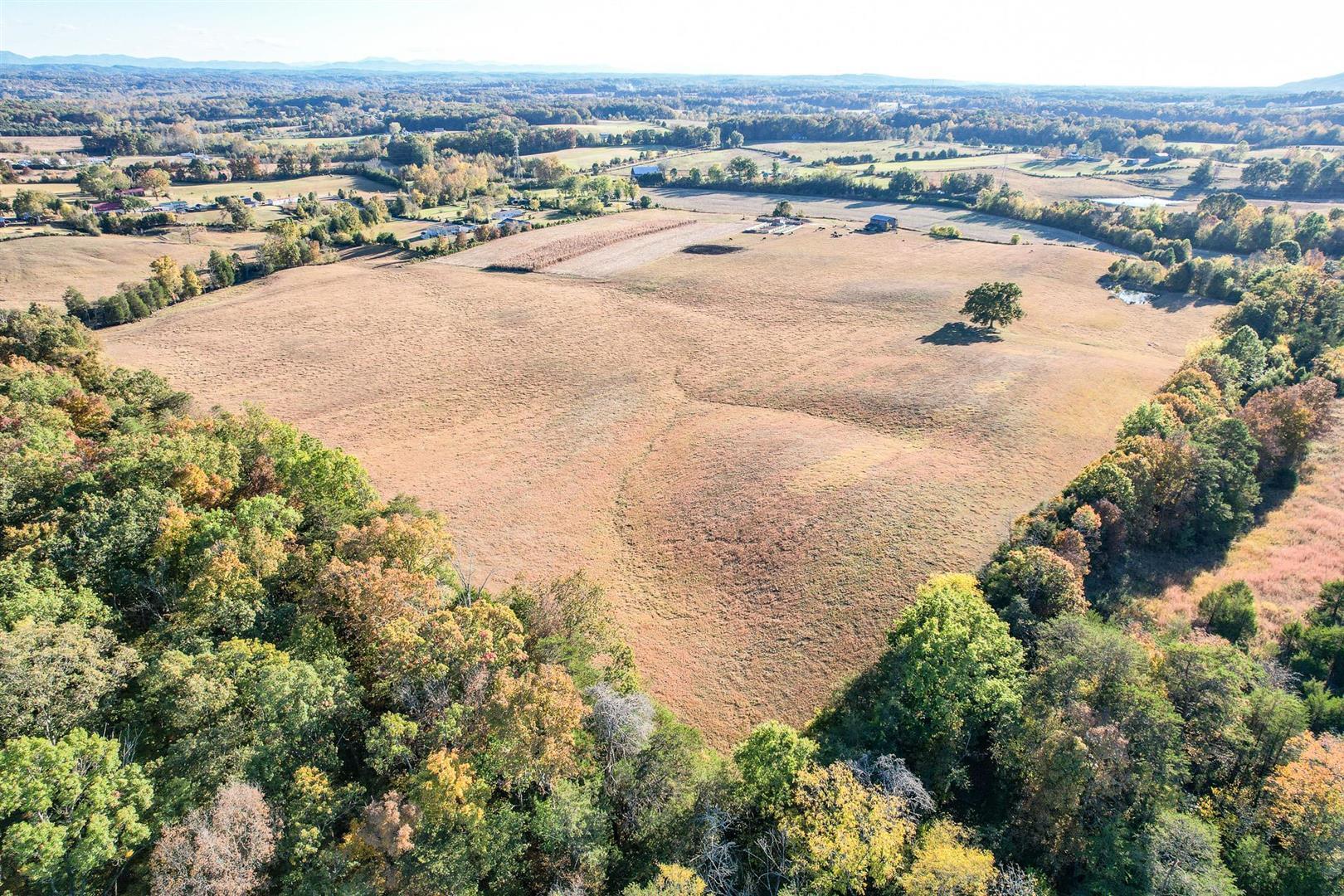 72.65 Ac Horton Highway, Greeneville, Tennessee image 7