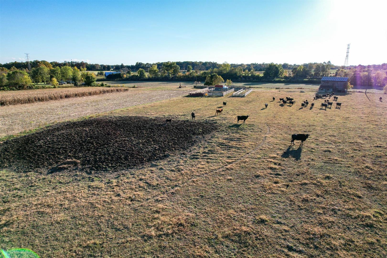 72.65 Ac Horton Highway, Greeneville, Tennessee image 14