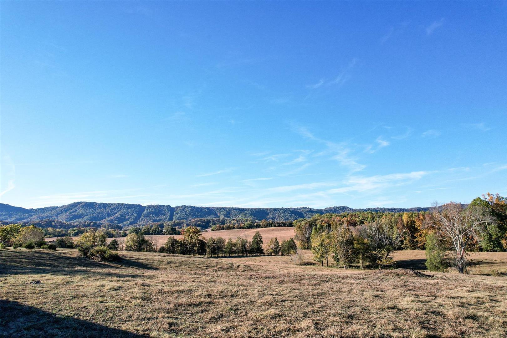 72.65 Ac Horton Highway, Greeneville, Tennessee image 16