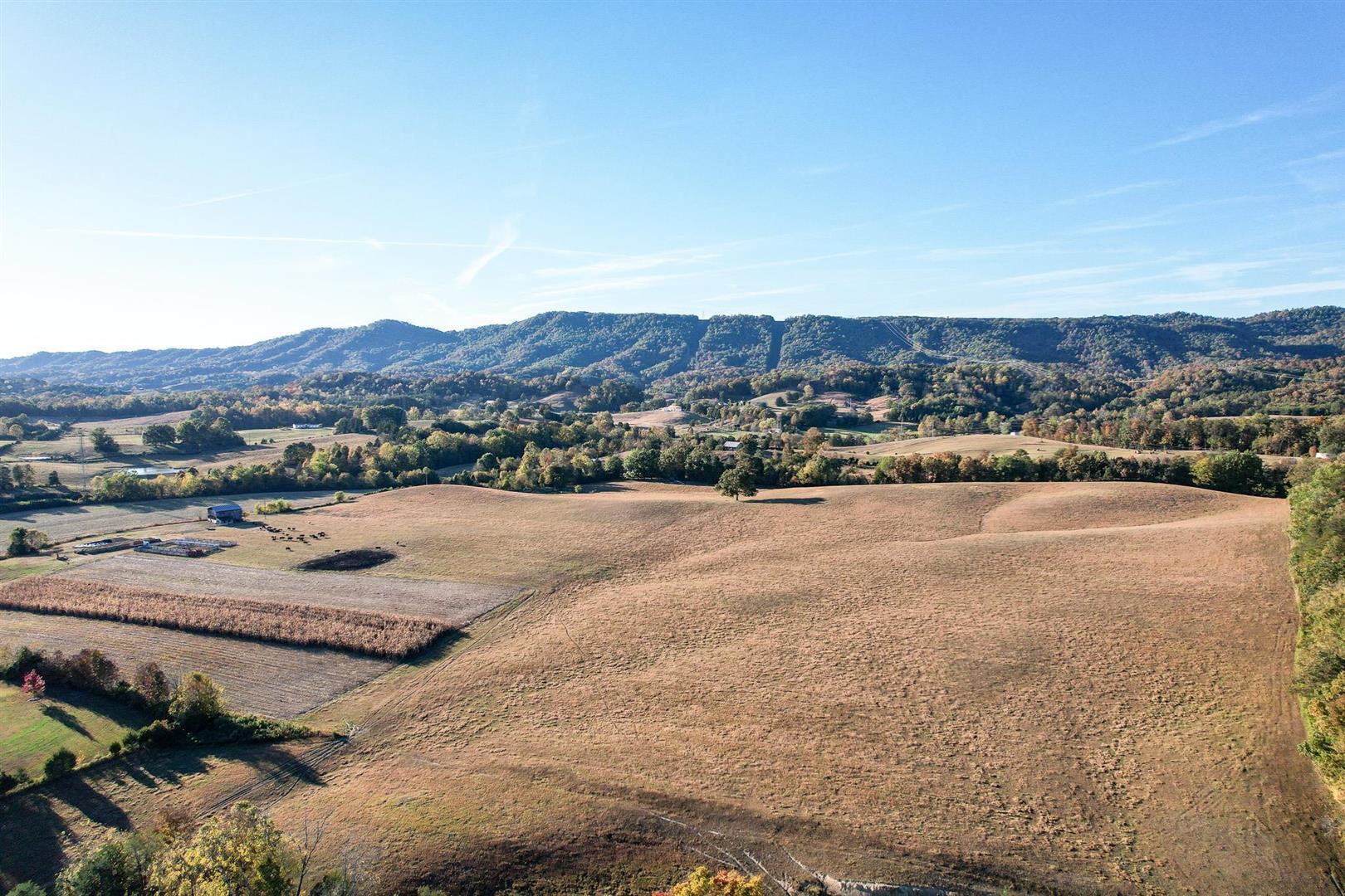 72.65 Ac Horton Highway, Greeneville, Tennessee image 10