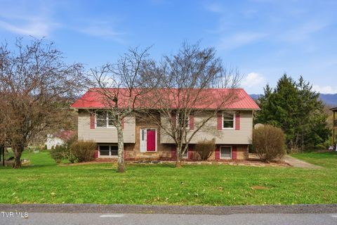 Photo of 905 Sherbrooke Drive, Mount Carmel, TN 37645 (MLS # 9992636)