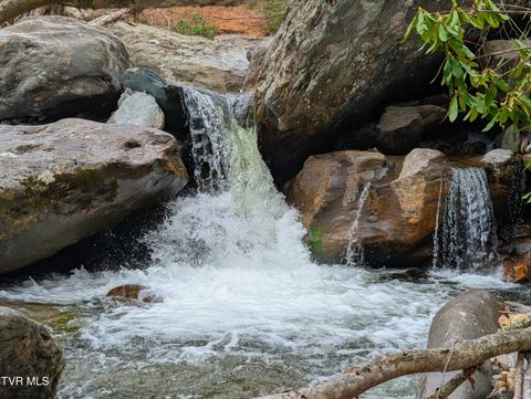 Vacant Land For Sale - 1105 Briar Run Lane<br/> Mouth of Wilson, VA 24363