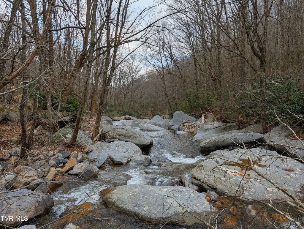 Photo of 1105 Briar Run Lane, Mouth of Wilson, VA 24363 (MLS # 9993003)