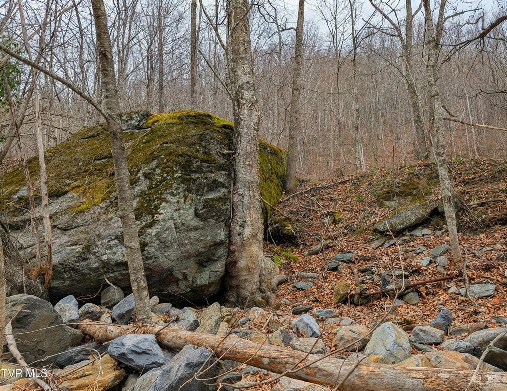 Photo of 1105 Briar Run Lane, Mouth of Wilson, VA 24363 (MLS # 9993003)