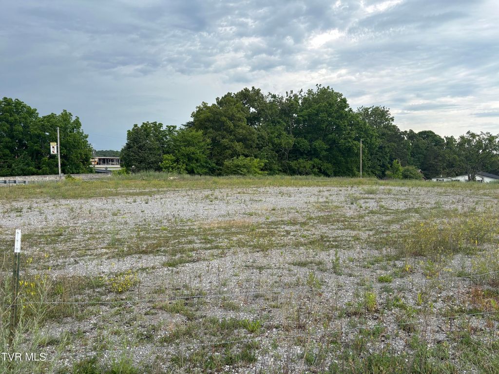 Photo of 00 Shackleford Road, Mosheim, TN 37818 (MLS # 9980504)