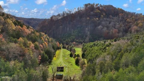 Vacant Land For Sale - 8272 Anglers Way Road<br/> Duffield, VA 24244