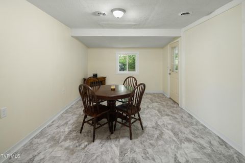 Tiny photo for 1227 Poga Road, Butler, TN 37640 (MLS # 9980935)