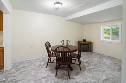 Tiny photo for 1227 Poga Road, Butler, TN 37640 (MLS # 9980935)
