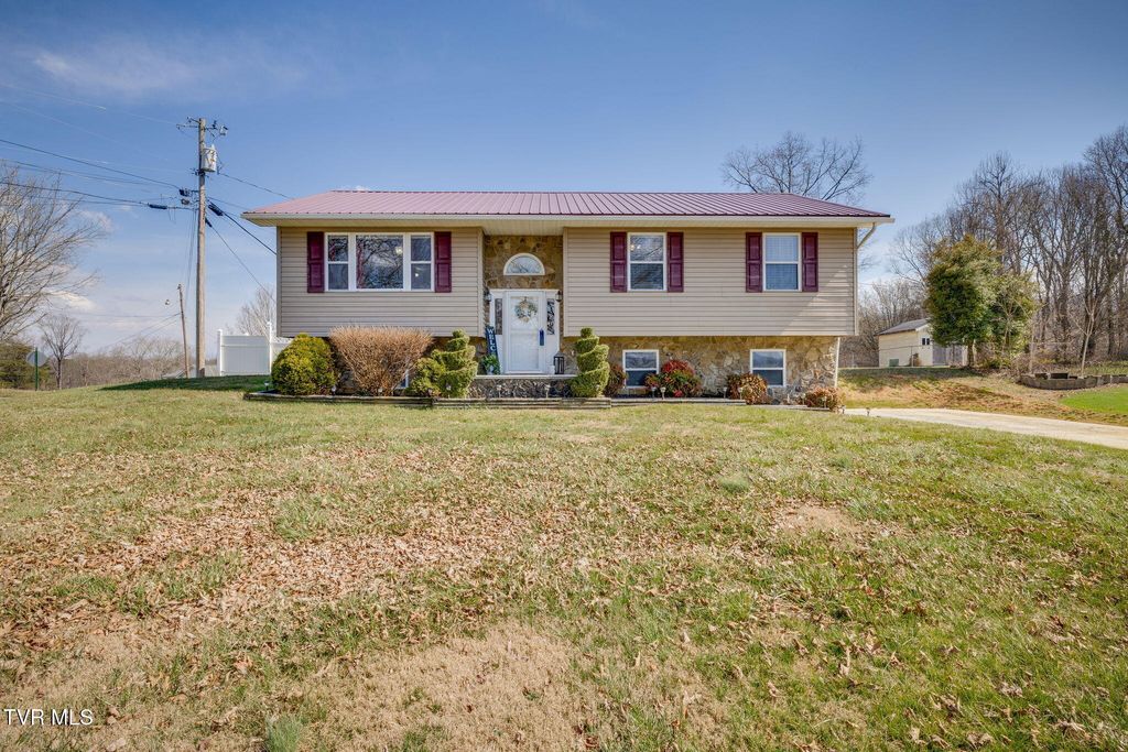 Photo of 145 Morgan Lane, Fall Branch, TN 37656 (MLS # 9992003)