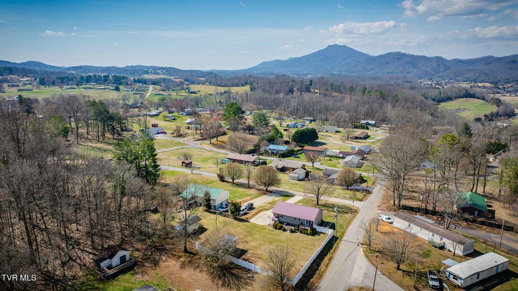 Photo of 145 Morgan Lane, Fall Branch, TN 37656 (MLS # 9992003)