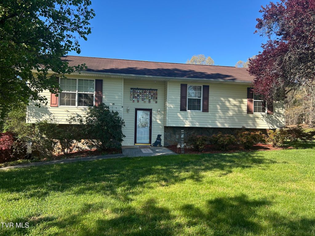 Photo of 163 Austin Drive, Rogersville, TN 37857 (MLS # 9994465)
