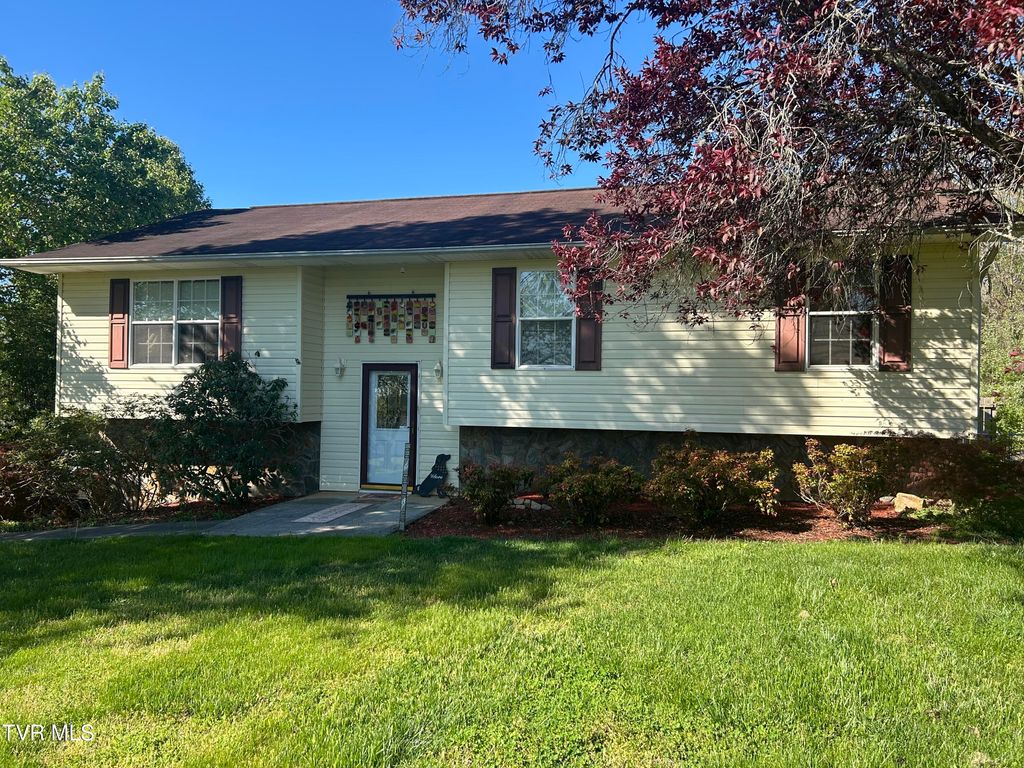 Photo of 163 Austin Drive, Rogersville, TN 37857 (MLS # 9994465)