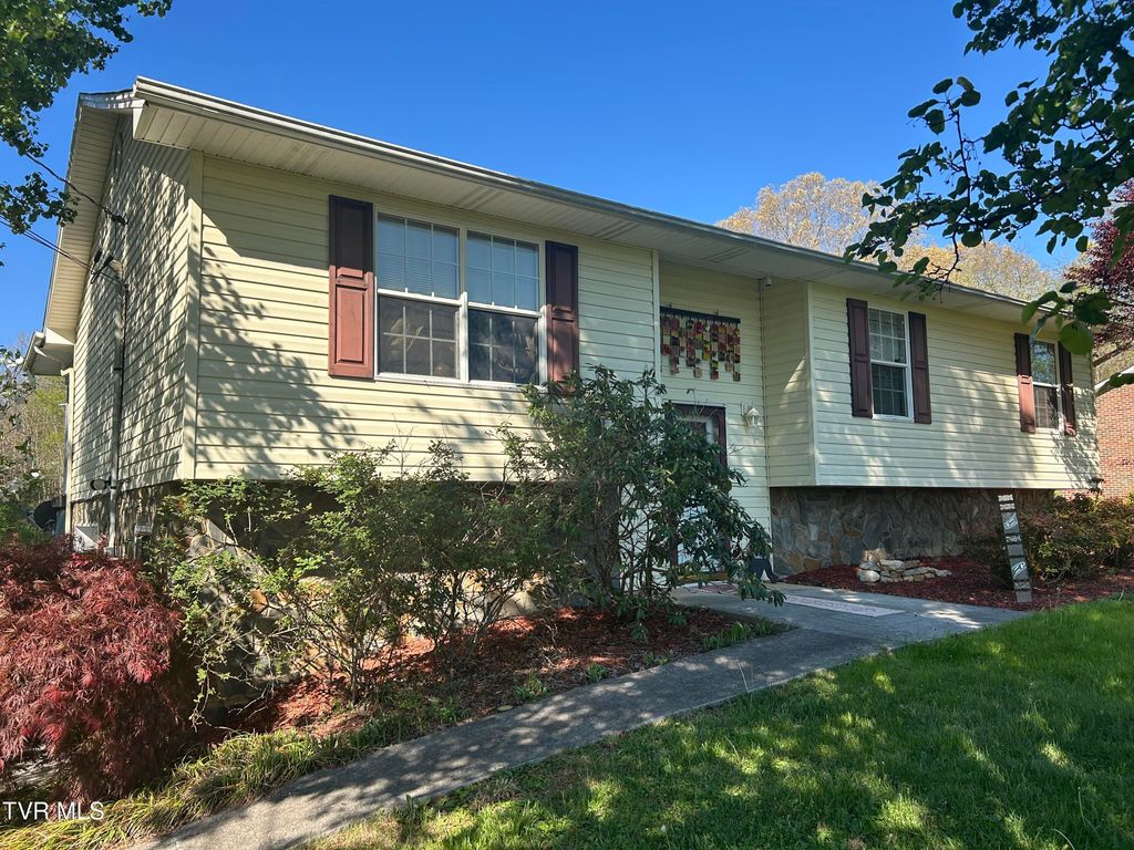 Photo of 163 Austin Drive, Rogersville, TN 37857 (MLS # 9994465)