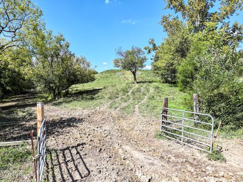 Tiny photo for 1 Union Road, Greeneville, TN 37745 (MLS # 9986409)