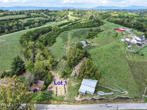 Tiny photo for 1 Union Road, Greeneville, TN 37745 (MLS # 9986409)