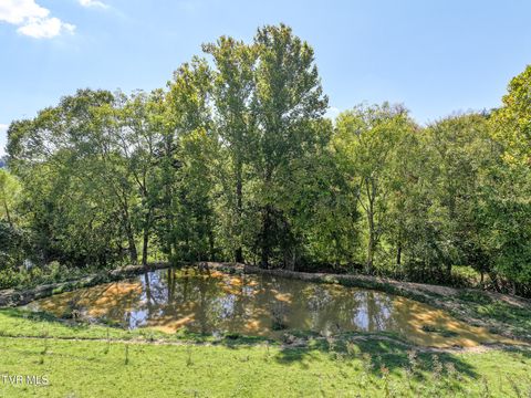 Tiny photo for 1 Union Road, Greeneville, TN 37745 (MLS # 9986409)