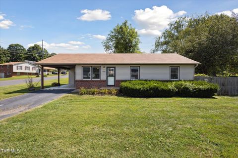 Tiny photo for 3201 Buckingham Drive, Johnson City, TN 37604 (MLS # 9986477)