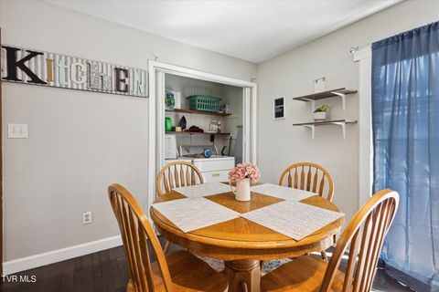 Tiny photo for 3201 Buckingham Drive, Johnson City, TN 37604 (MLS # 9986477)