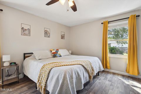 Tiny photo for 3201 Buckingham Drive, Johnson City, TN 37604 (MLS # 9986477)