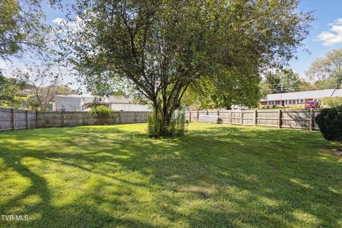 Tiny photo for 3201 Buckingham Drive, Johnson City, TN 37604 (MLS # 9986477)