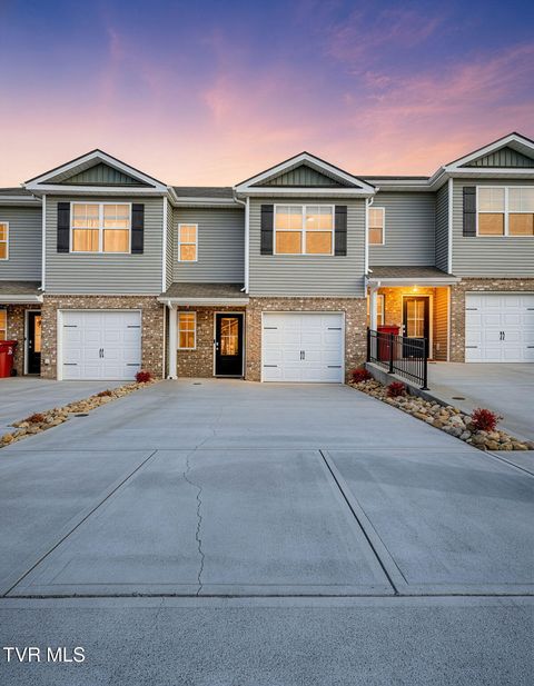 Photo of 30 Moon Rock Court, Johnson City, TN 37615 (MLS # 9990194)