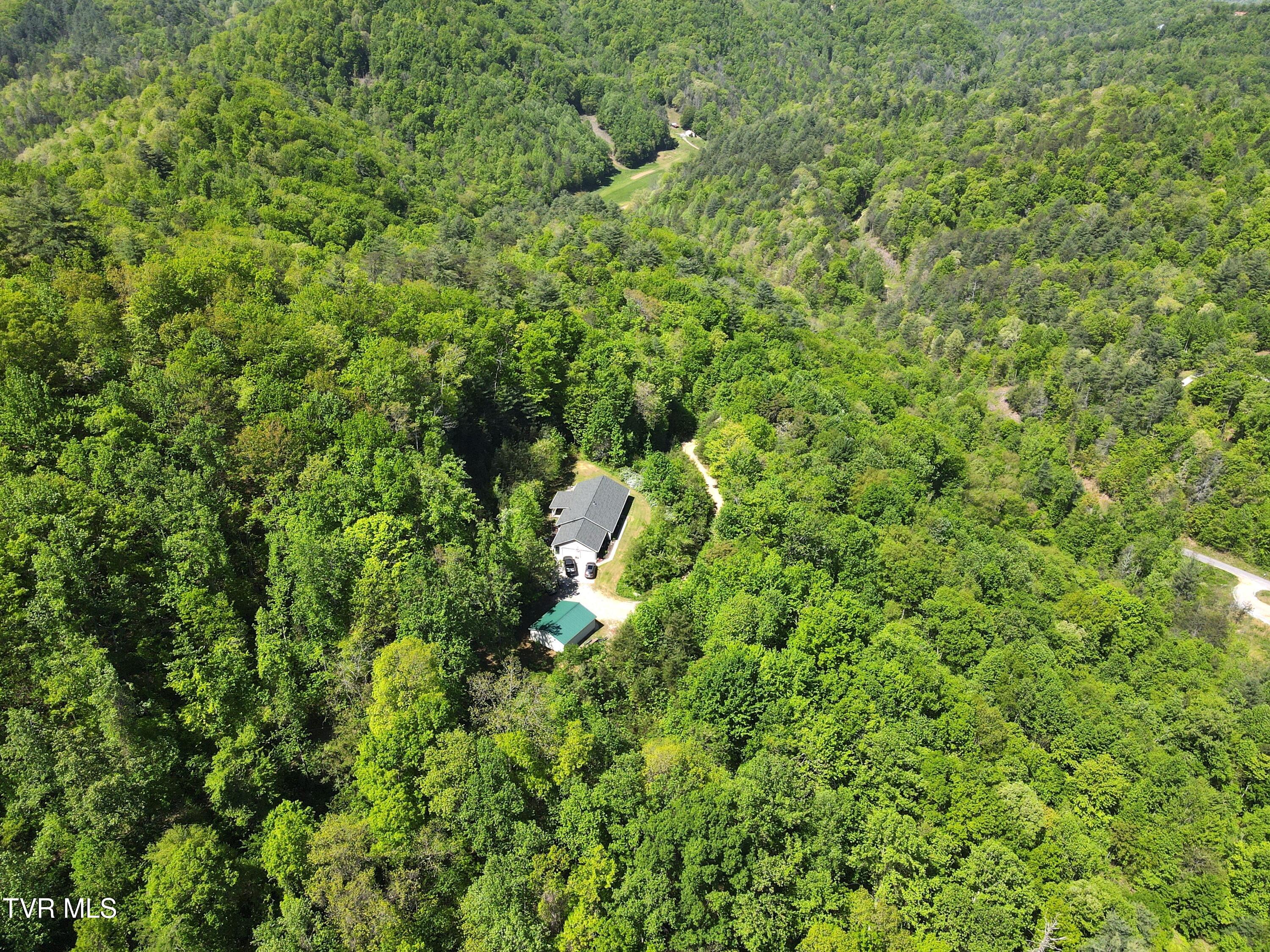 804 Punkton Road, Del Rio, Tennessee image 30