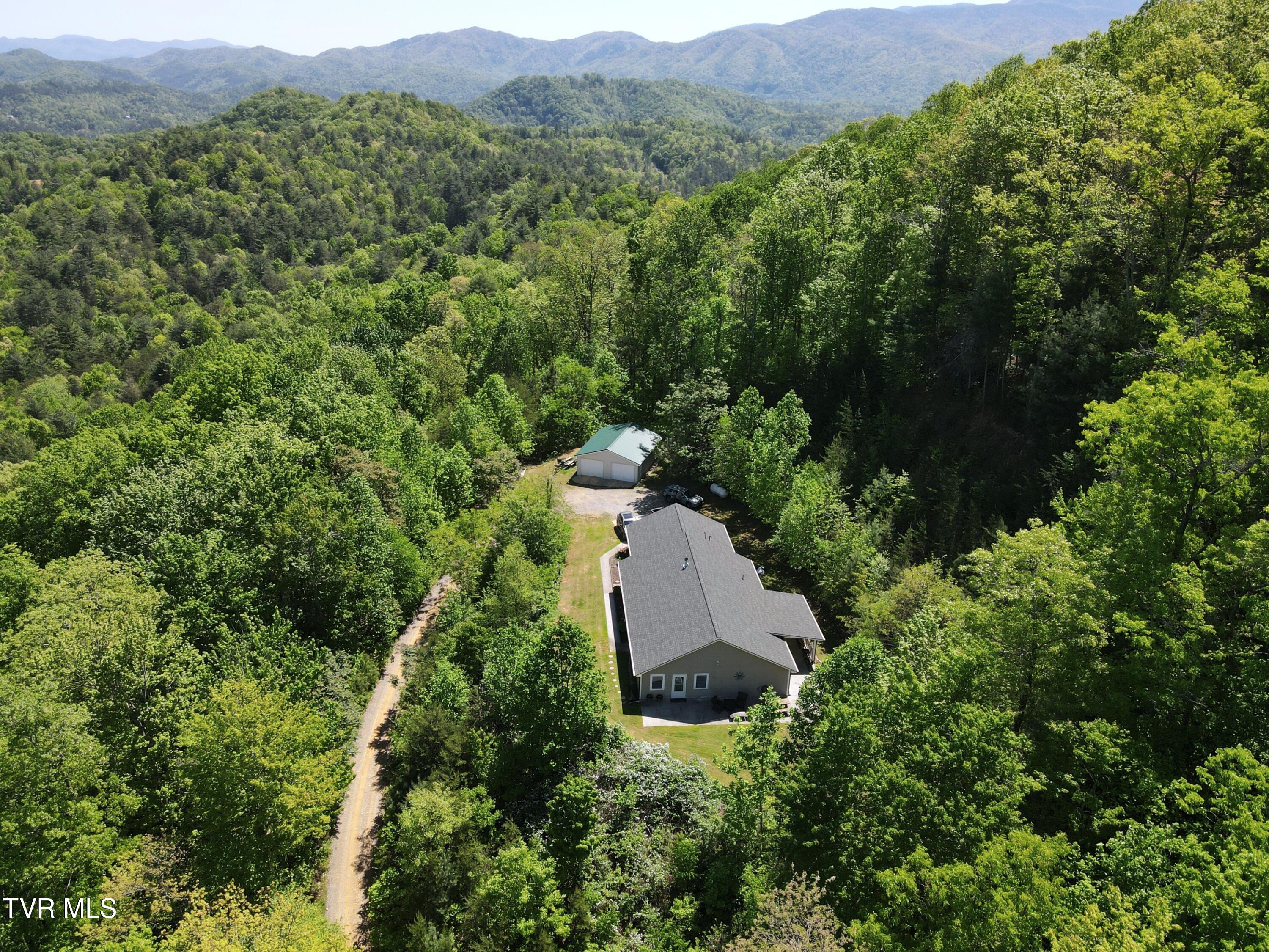 804 Punkton Road, Del Rio, Tennessee image 10