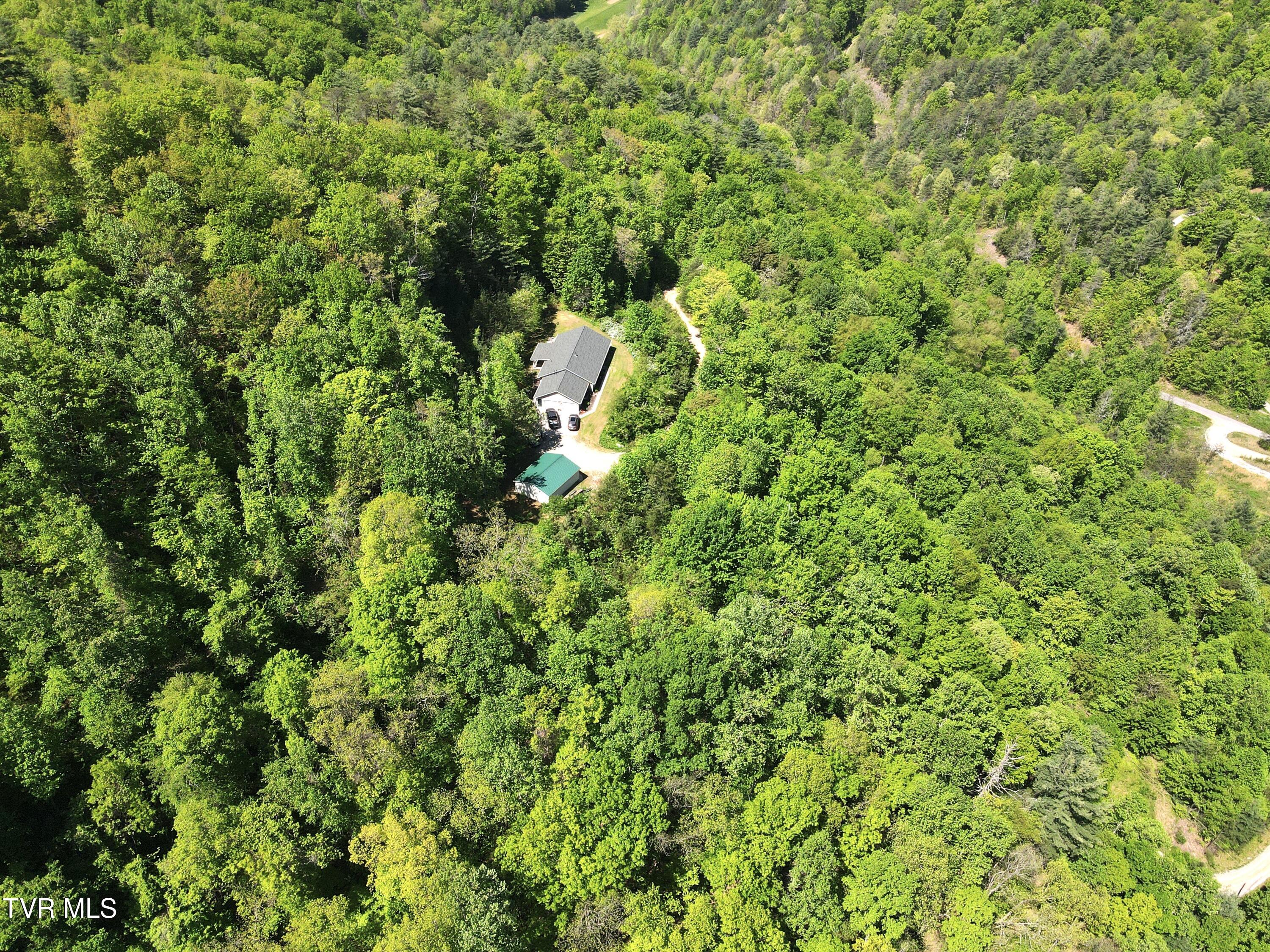 804 Punkton Road, Del Rio, Tennessee image 29