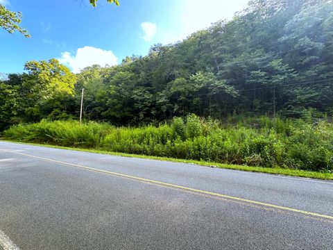 Vacant Land For Sale - 2128 Holt Town Road<br/> Newport, TN 37821