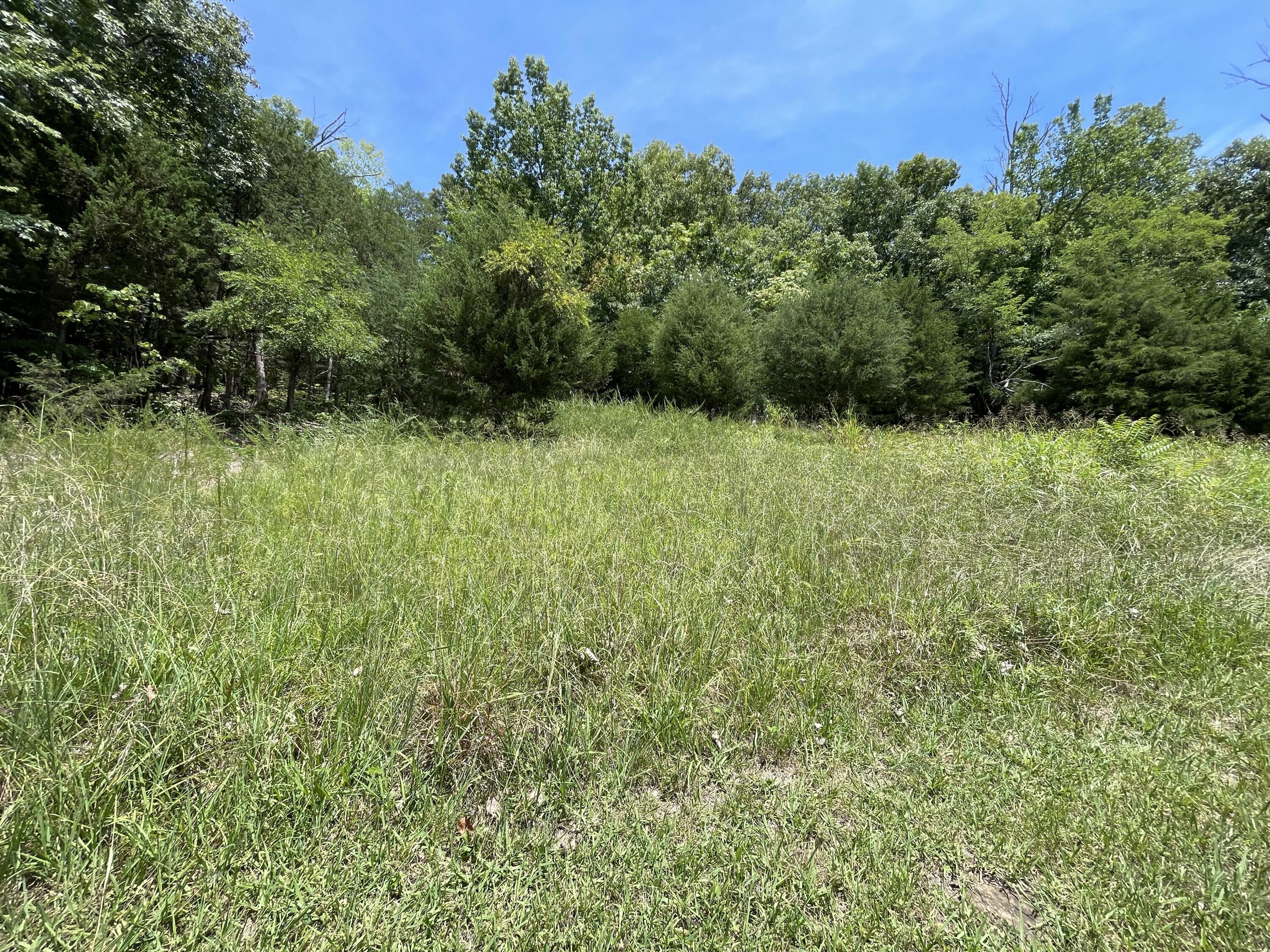 102 Lakeshore Way, Newport, Tennessee image 1