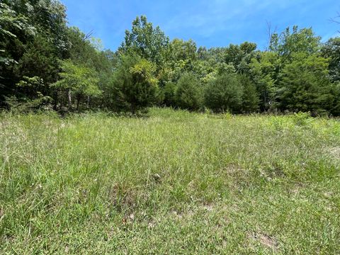 Vacant Land For Sale - 102 Lakeshore Way<br/> Newport, TN 37821