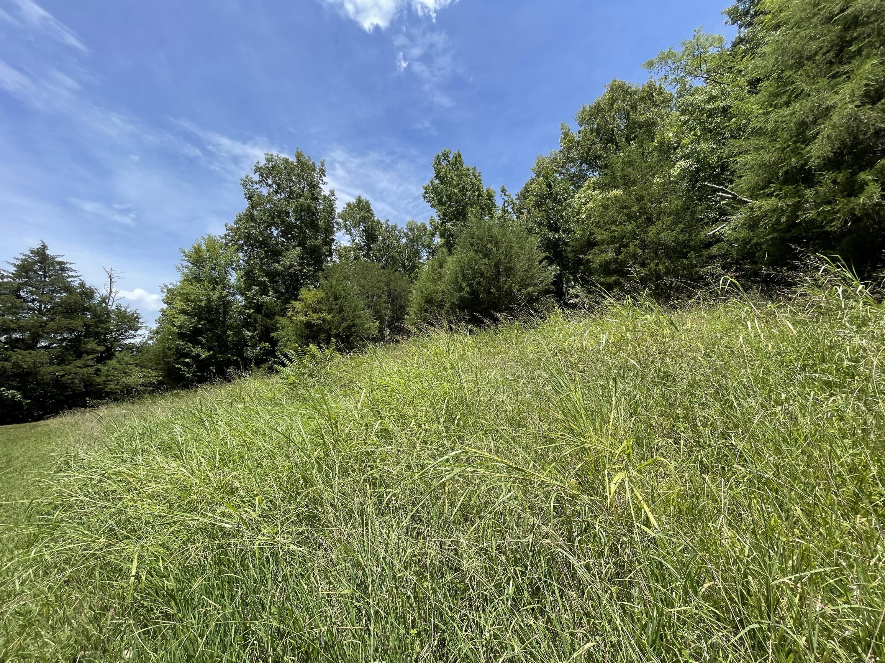 102 Lakeshore Way, Newport, Tennessee image 2