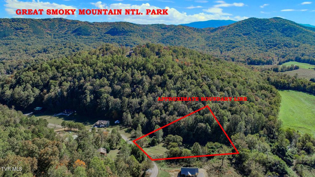 Photo of 2409 Perilla Dr Dr, Cosby, TN 37722 (MLS # 9987313)