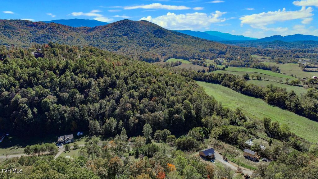 Photo of 2409 Perilla Dr Dr, Cosby, TN 37722 (MLS # 9987313)