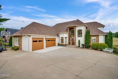 Photo of 8 Lake Harbor Court, Johnson City, TN 37615 (MLS # 9988994)