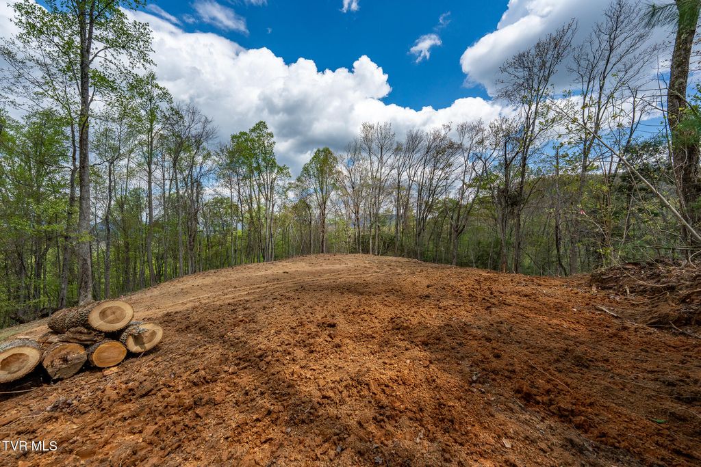 Photo of 1 Ridge Top Lane #1, Unicoi, TN 37692 (MLS # 9995469)