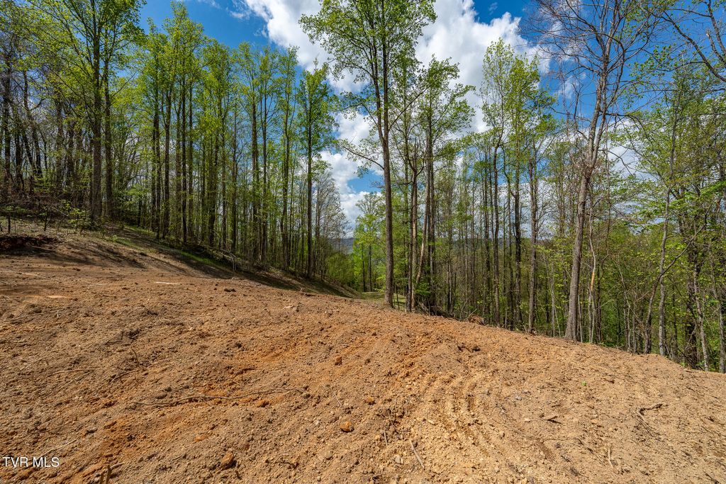 Photo of 1 Ridge Top Lane #1, Unicoi, TN 37692 (MLS # 9995469)