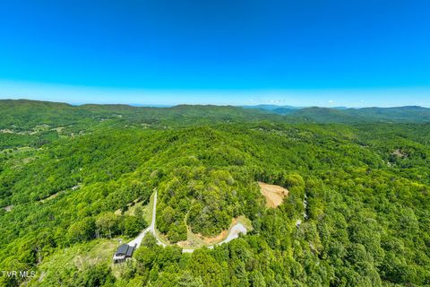 Photo of 1 Ridge Top Lane #1, Unicoi, TN 37692 (MLS # 9995469)