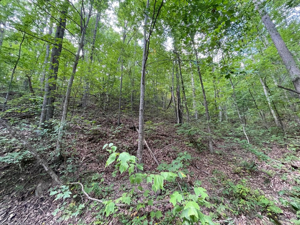 Photo of 1127 Clingmans View, Sevierville, TN 37876 (MLS # 9957246)
