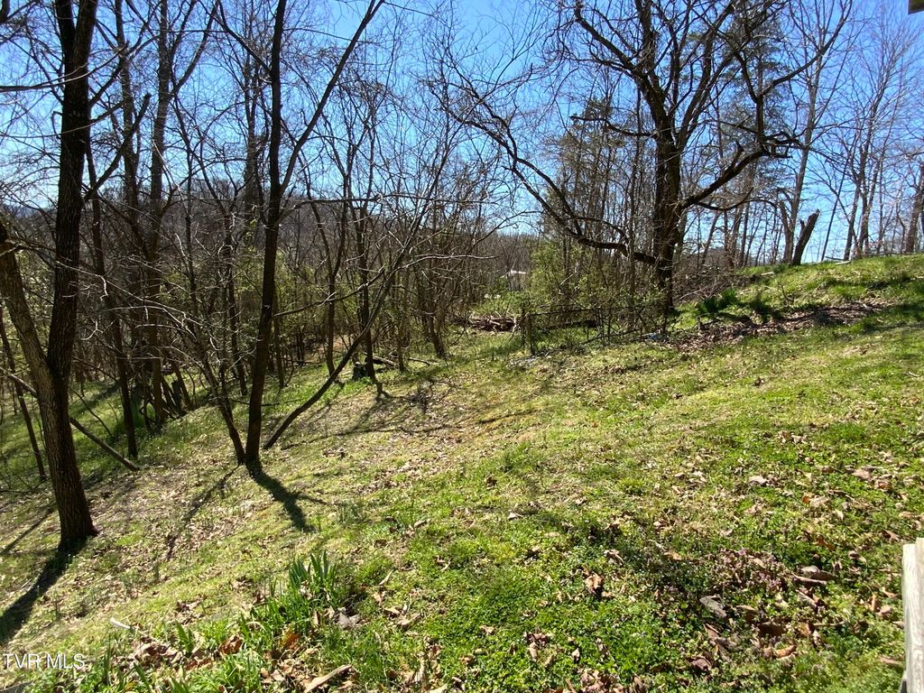 Photo of 229235 Henard Road, Rogersville, TN 37857 (MLS # 9977817)